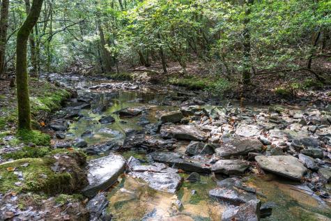 484 Deer Lick Trail Monteagle TN 37356