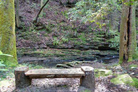 484 Deer Lick Trail Monteagle TN 37356