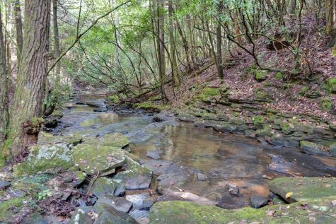 484 Deer Lick Trail Monteagle TN 37356