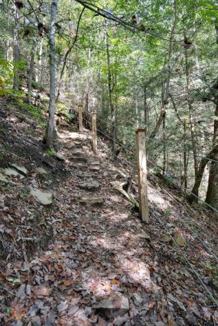 484 Deer Lick Trail Monteagle TN 37356