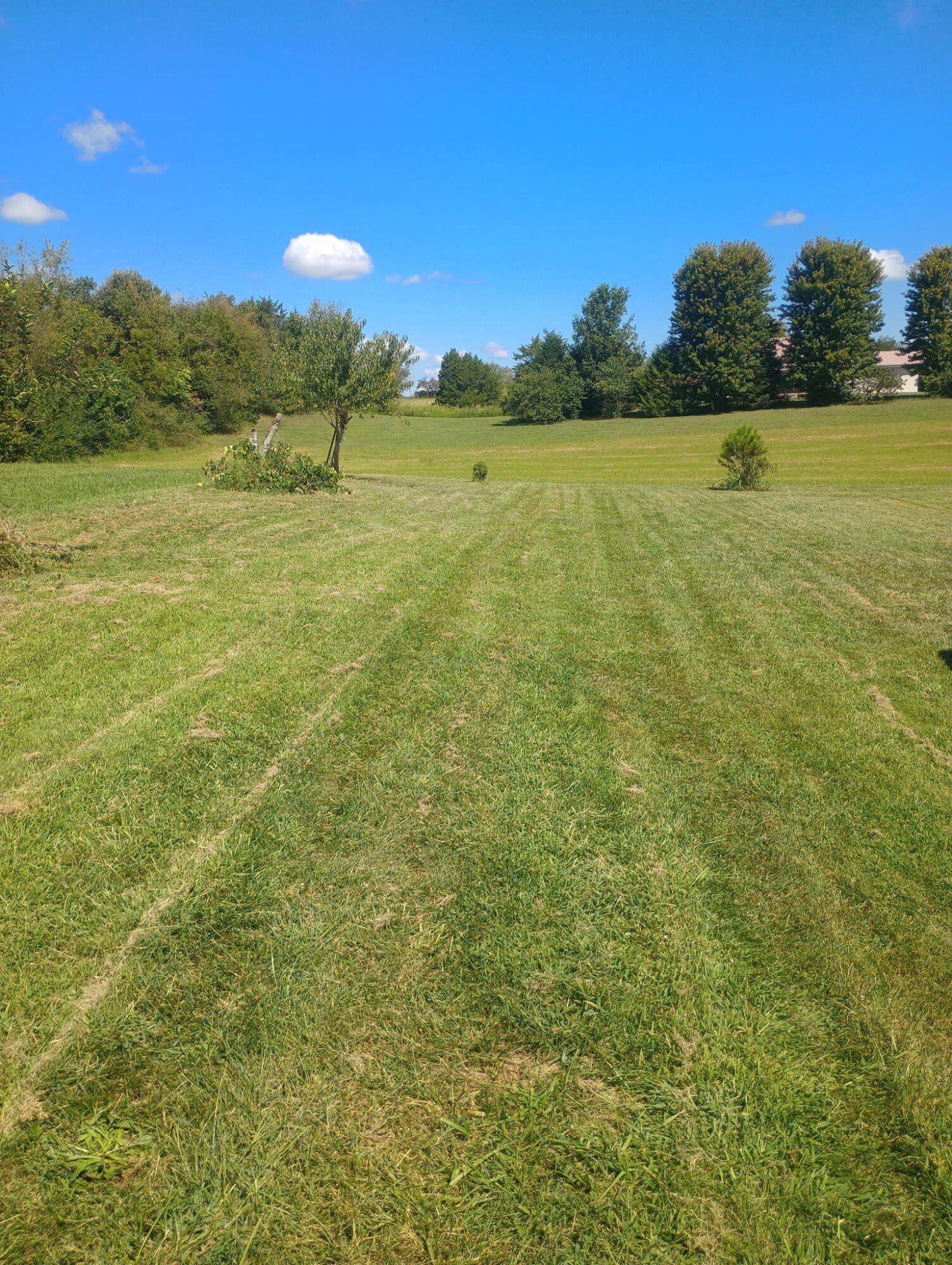 368 County Road 313 Sweetwater TN 37874