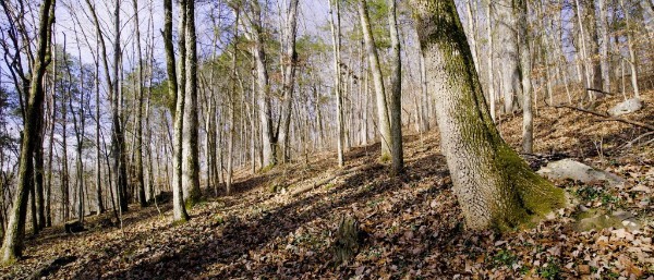 0 Whites Creek Pike Whites Creek TN 37189