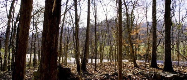 0 Whites Creek Pike Whites Creek TN 37189