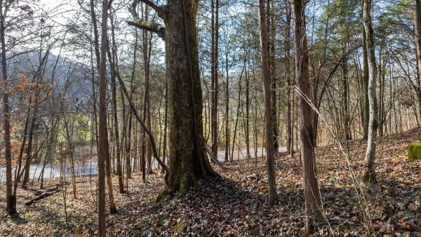 0 Whites Creek Pike Whites Creek TN 37189
