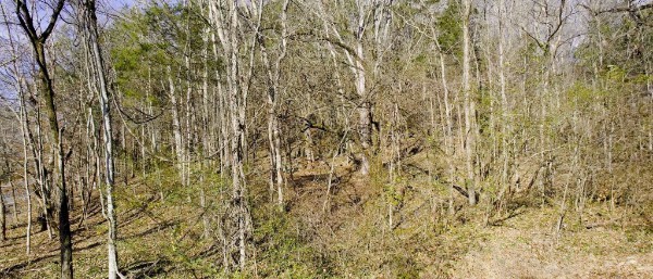 0 Whites Creek Pike Whites Creek TN 37189
