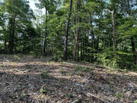 3692 Pan Gap Circle Chattanooga TN 37419