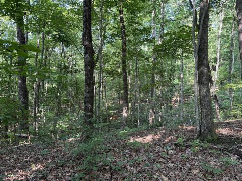 3692 Pan Gap Circle Chattanooga TN 37419