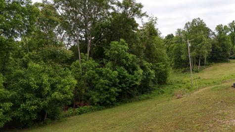 1825 Free Hill Road Celina TN 38551