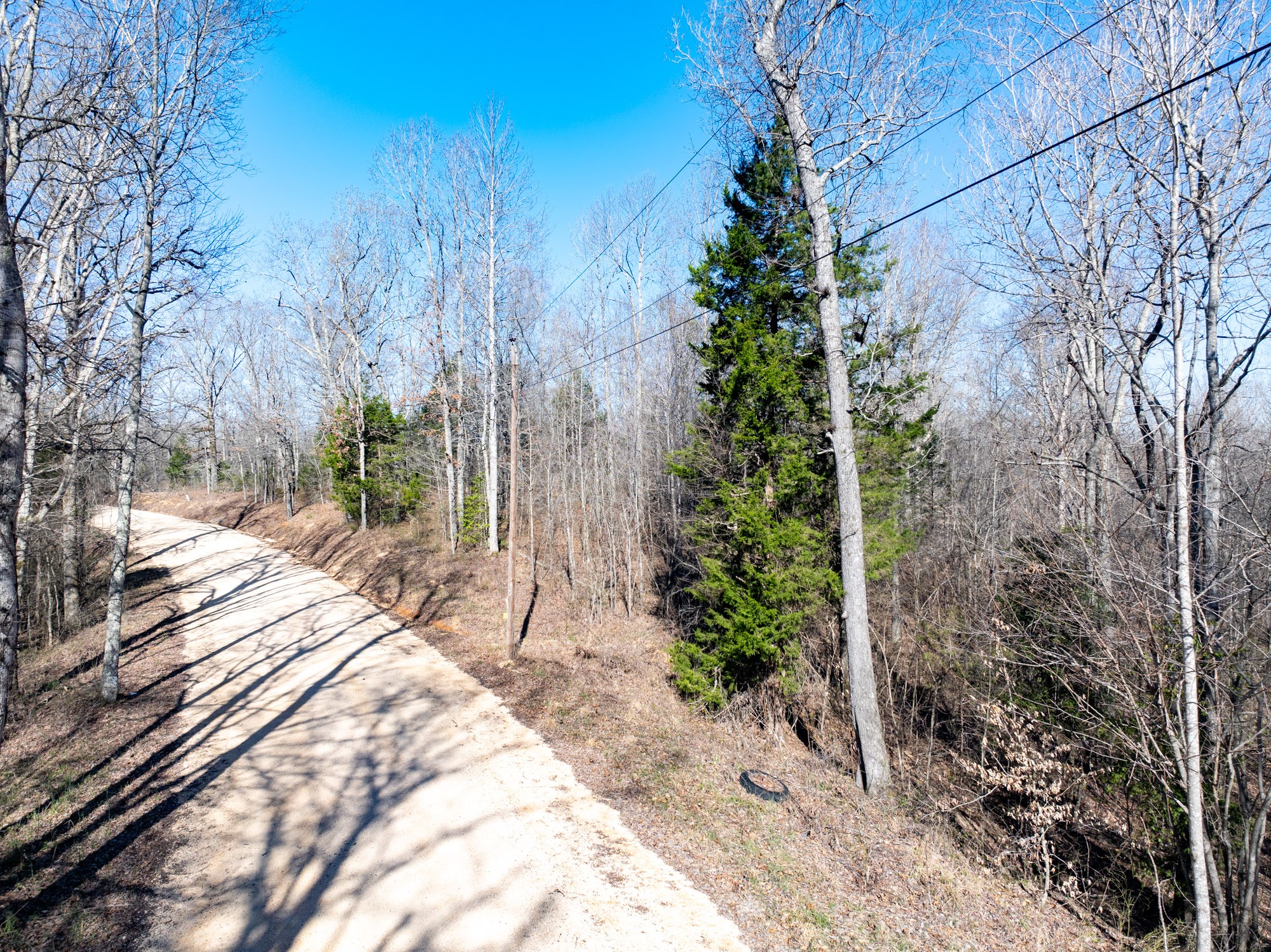 0 Chester Quinn Lane Parsons TN 38363