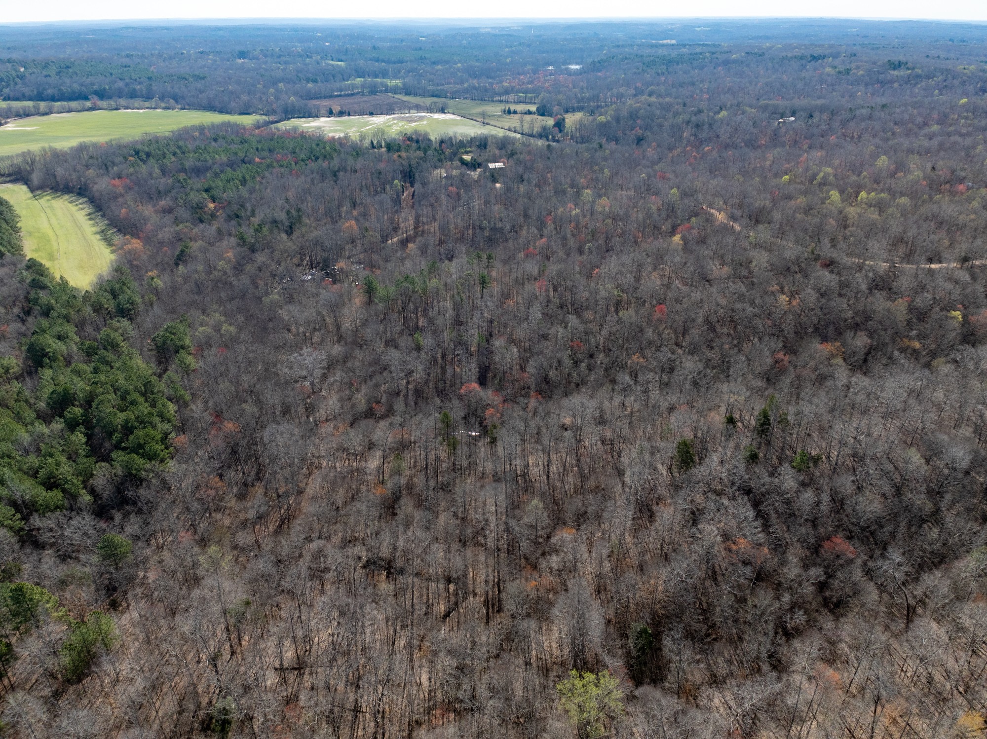 0 Chester Quinn Lane Parsons TN 38363