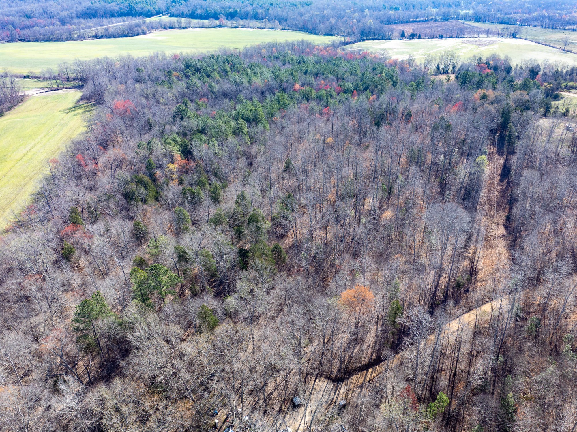 0 Chester Quinn Lane Parsons TN 38363