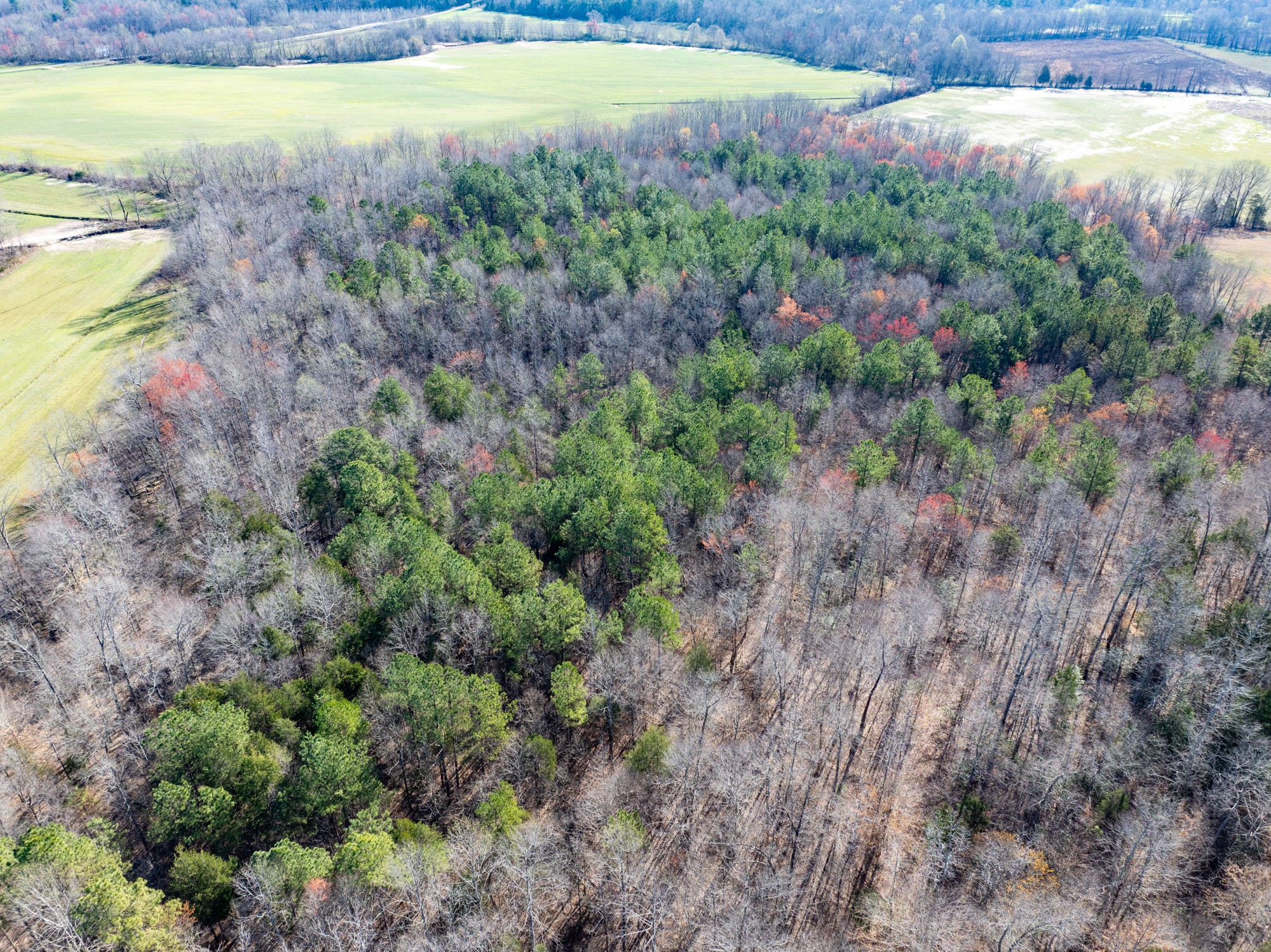 0 Chester Quinn Lane Parsons TN 38363