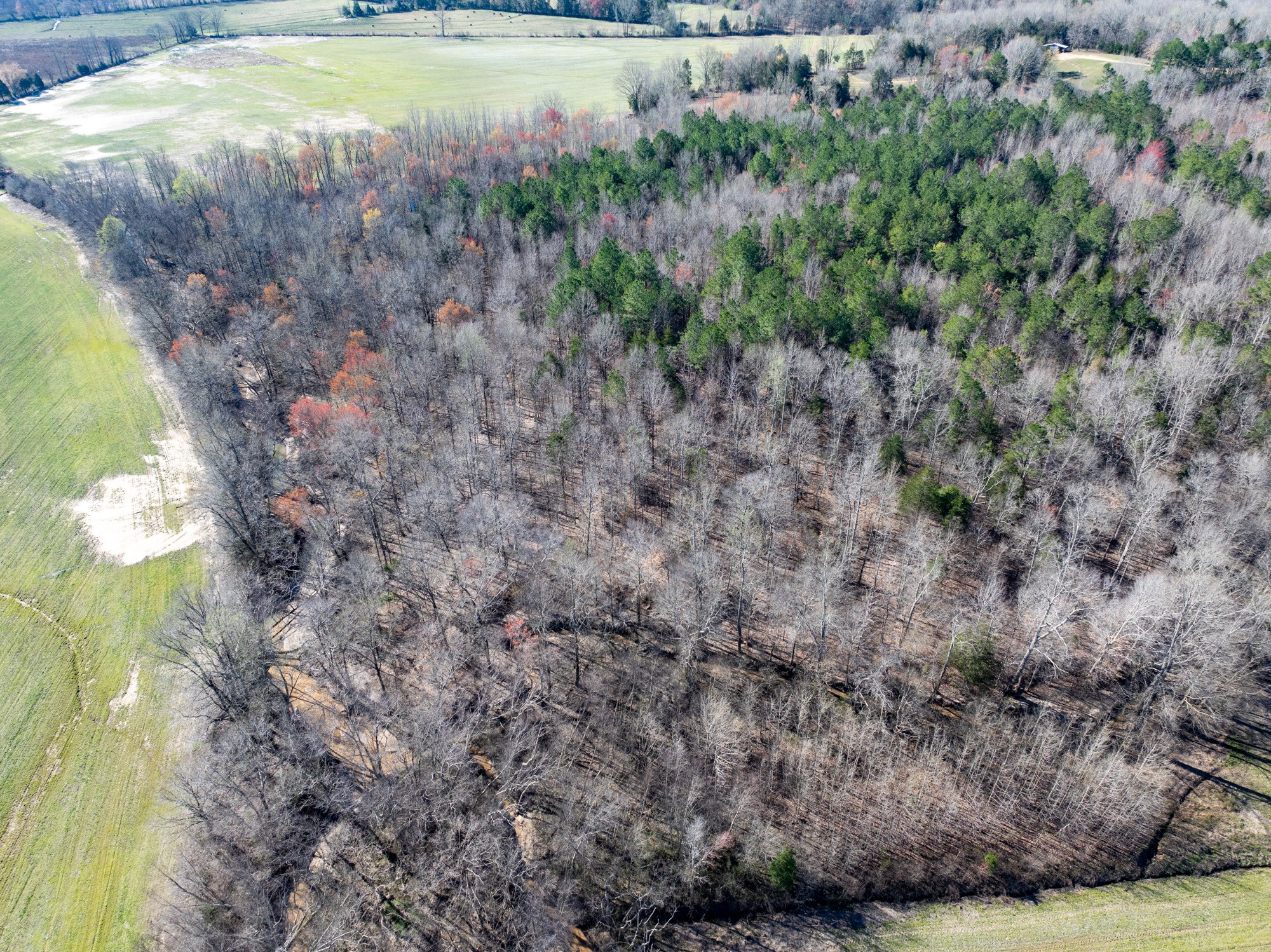 0 Chester Quinn Lane Parsons TN 38363