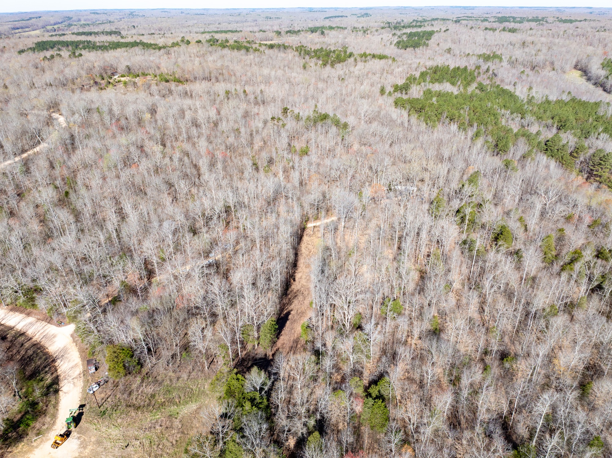 0 Chester Quinn Lane Parsons TN 38363