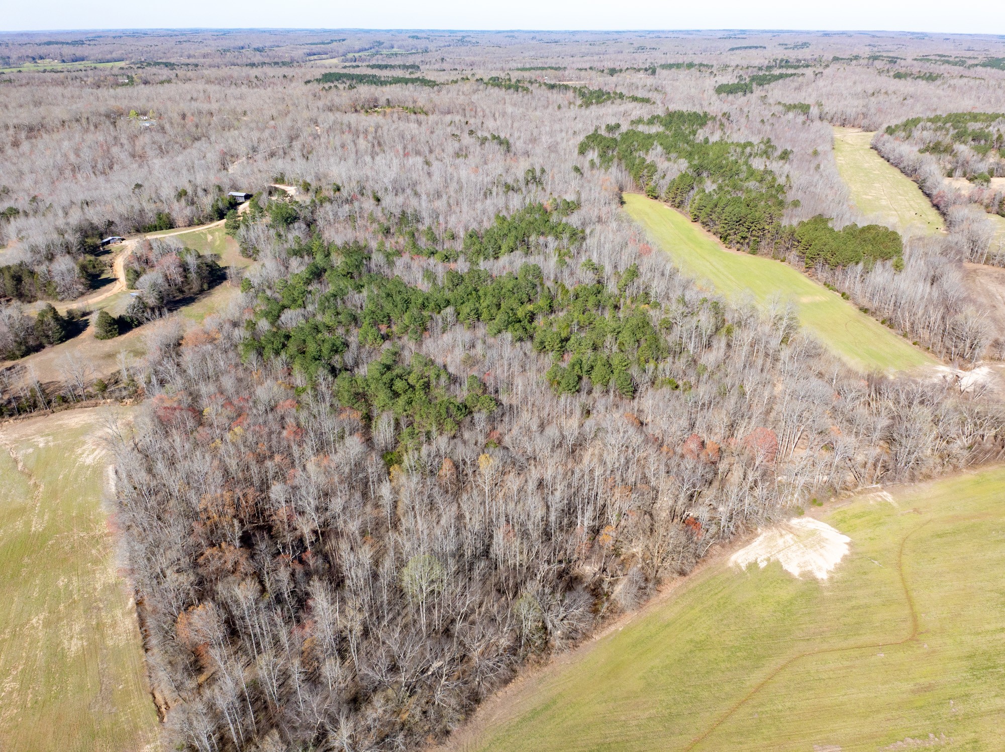 0 Chester Quinn Lane Parsons TN 38363