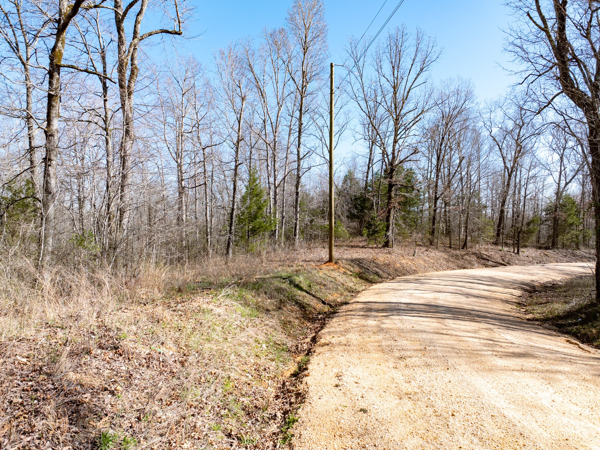 0 Chester Quinn Lane Parsons TN 38363