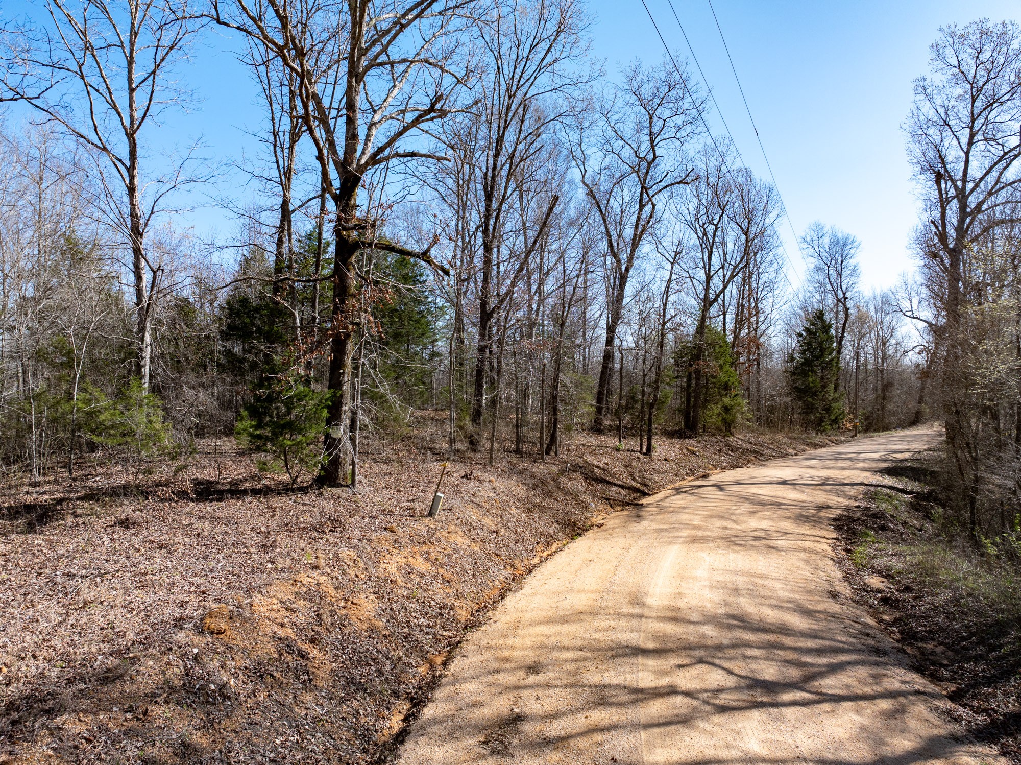 0 Chester Quinn Lane Parsons TN 38363
