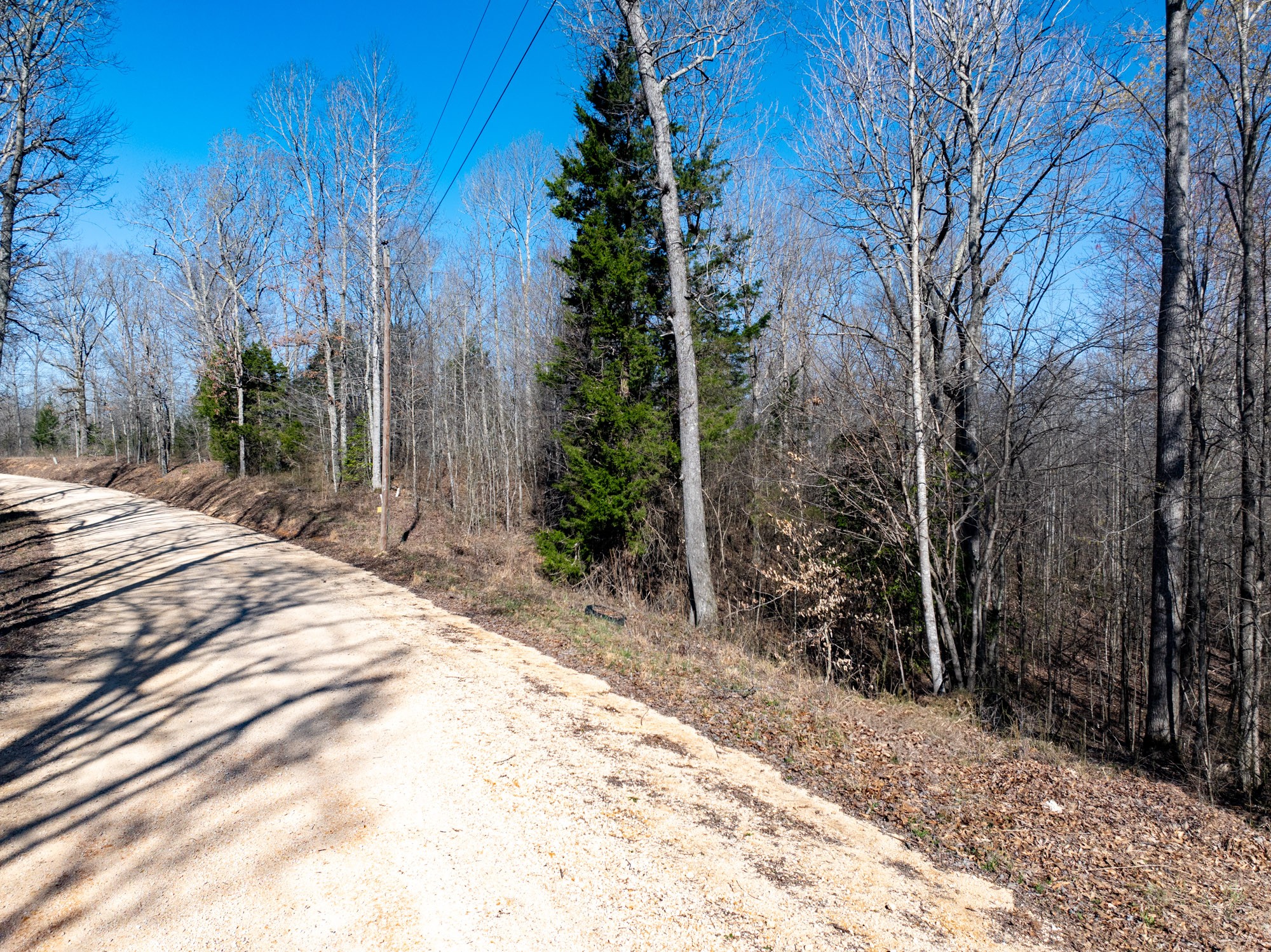 0 Chester Quinn Lane Parsons TN 38363
