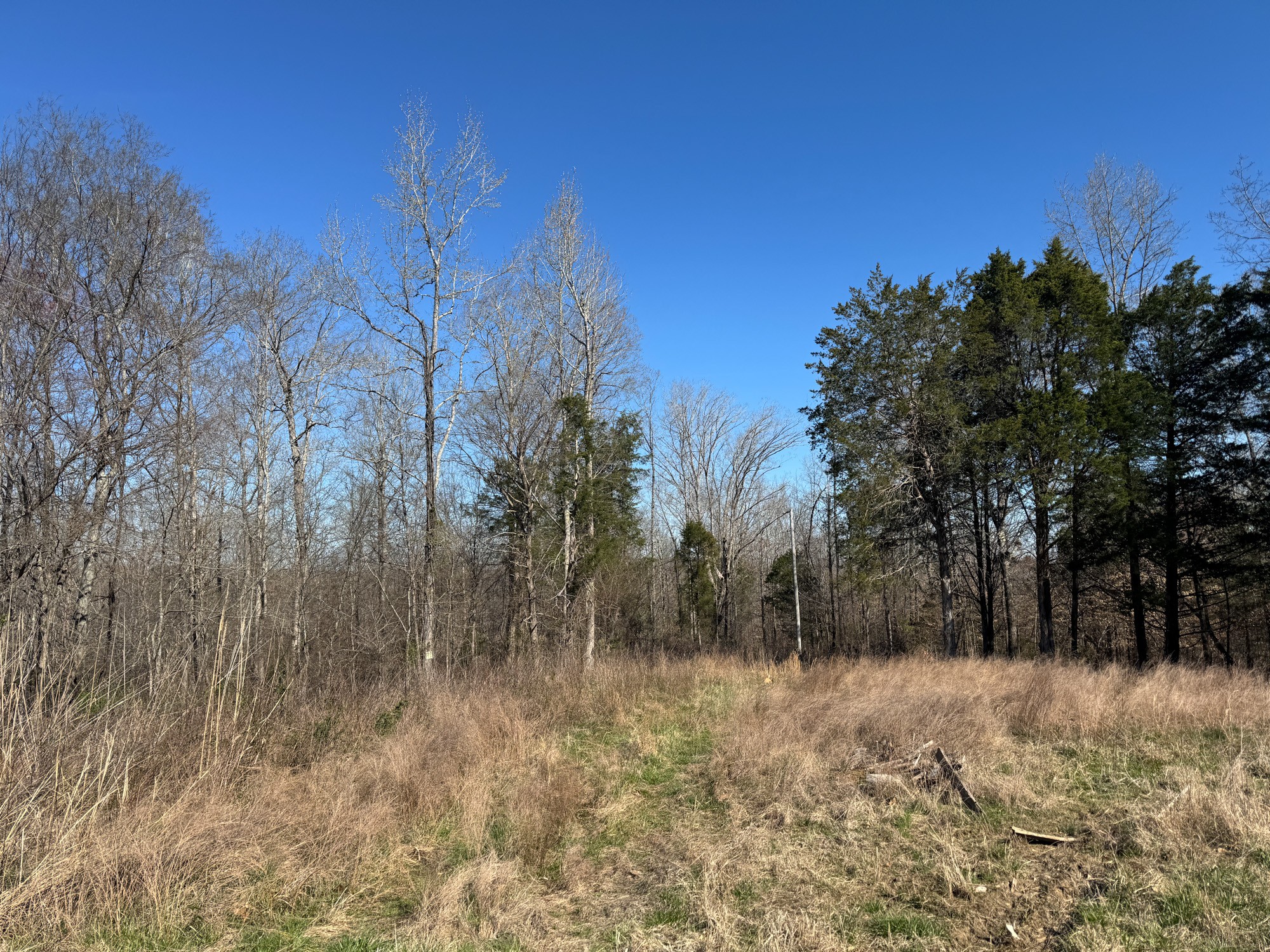 0 Chester Quinn Lane Parsons TN 38363
