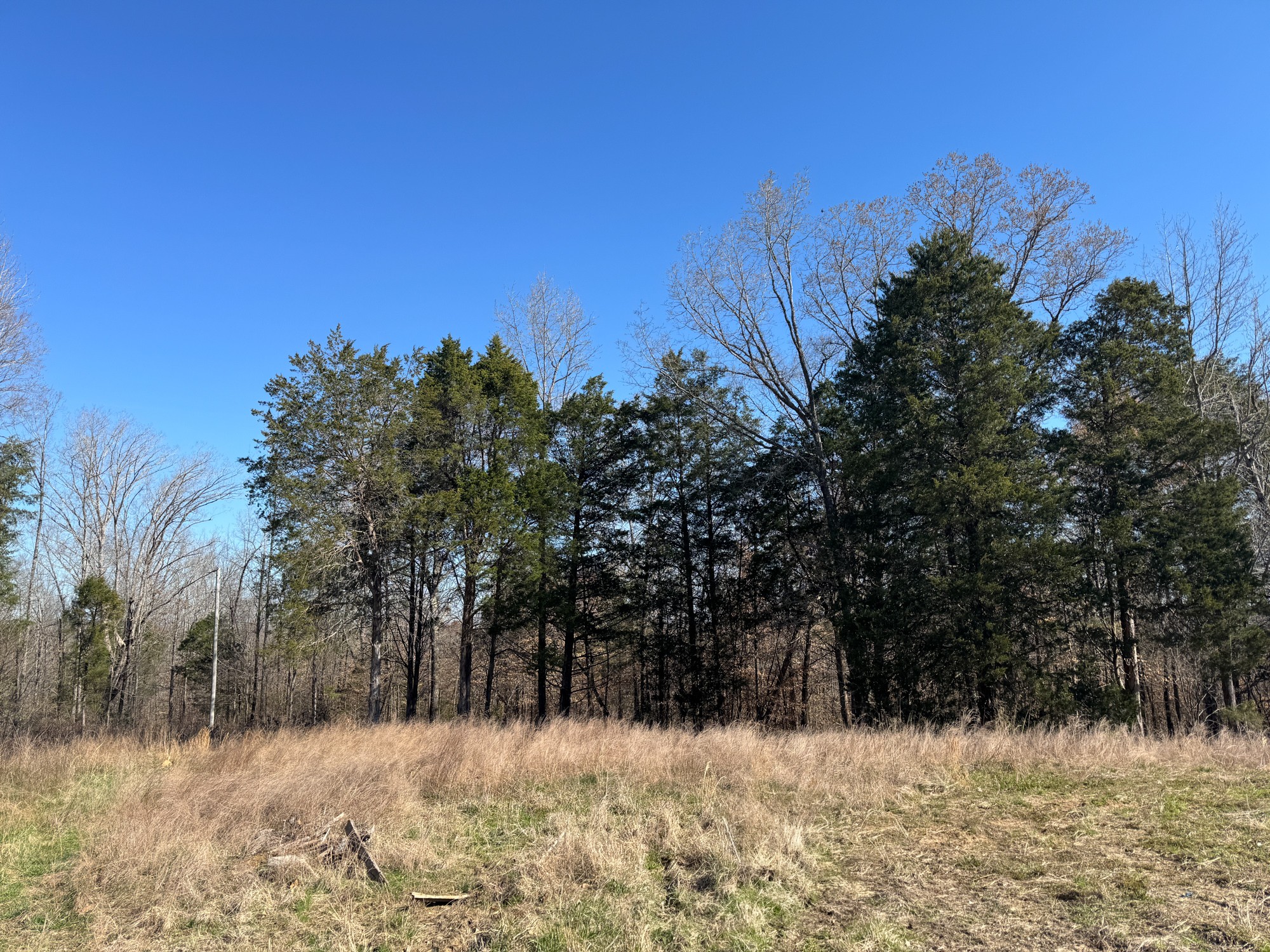 0 Chester Quinn Lane Parsons TN 38363
