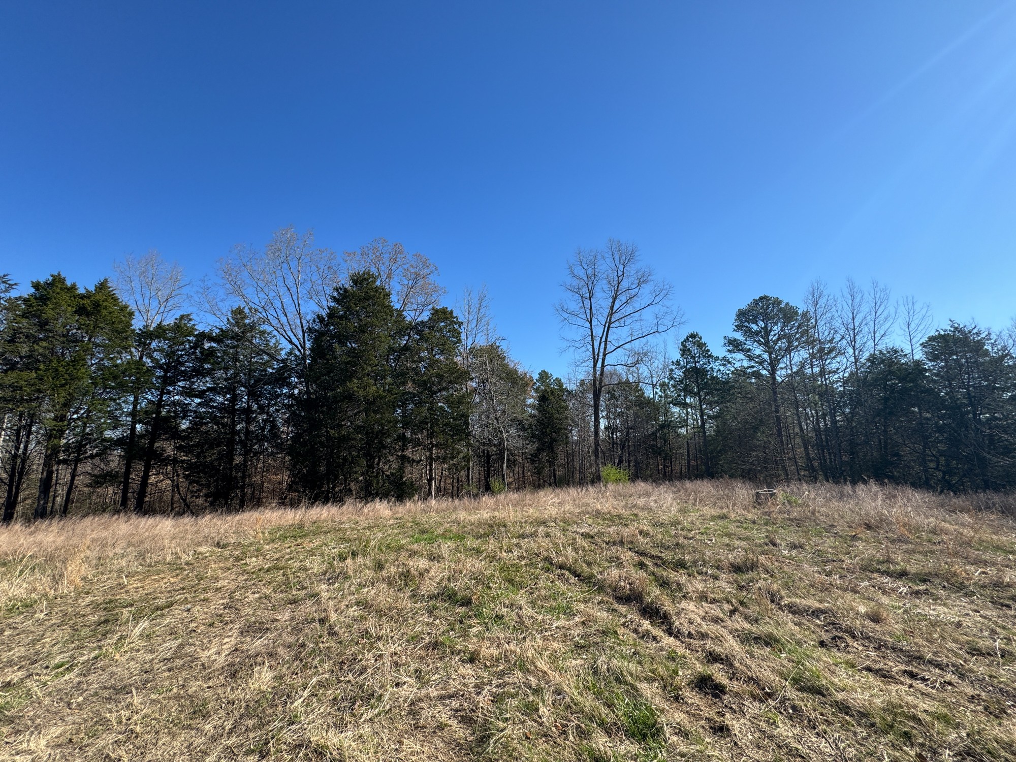 0 Chester Quinn Lane Parsons TN 38363