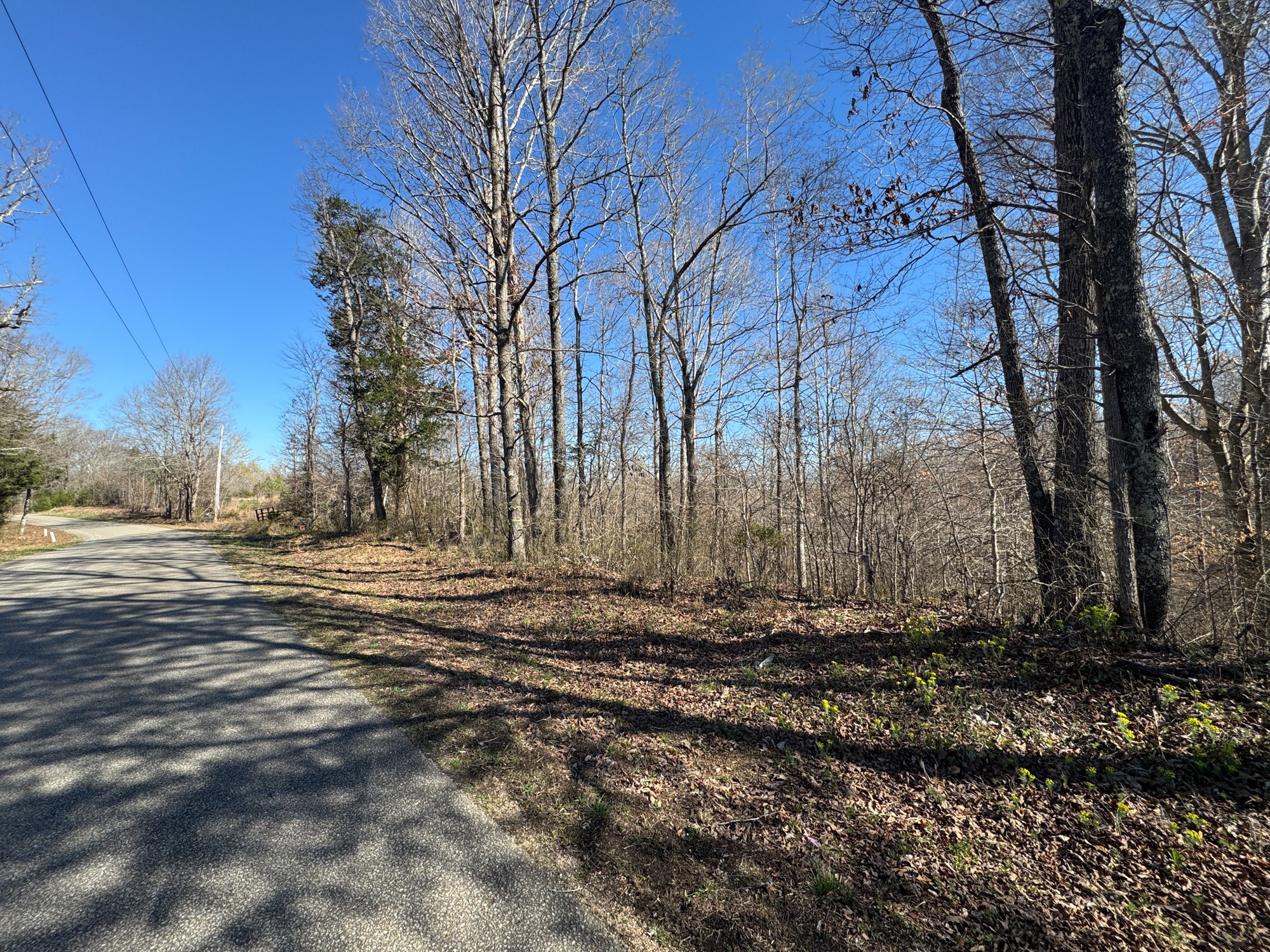 0 Chester Quinn Lane Parsons TN 38363