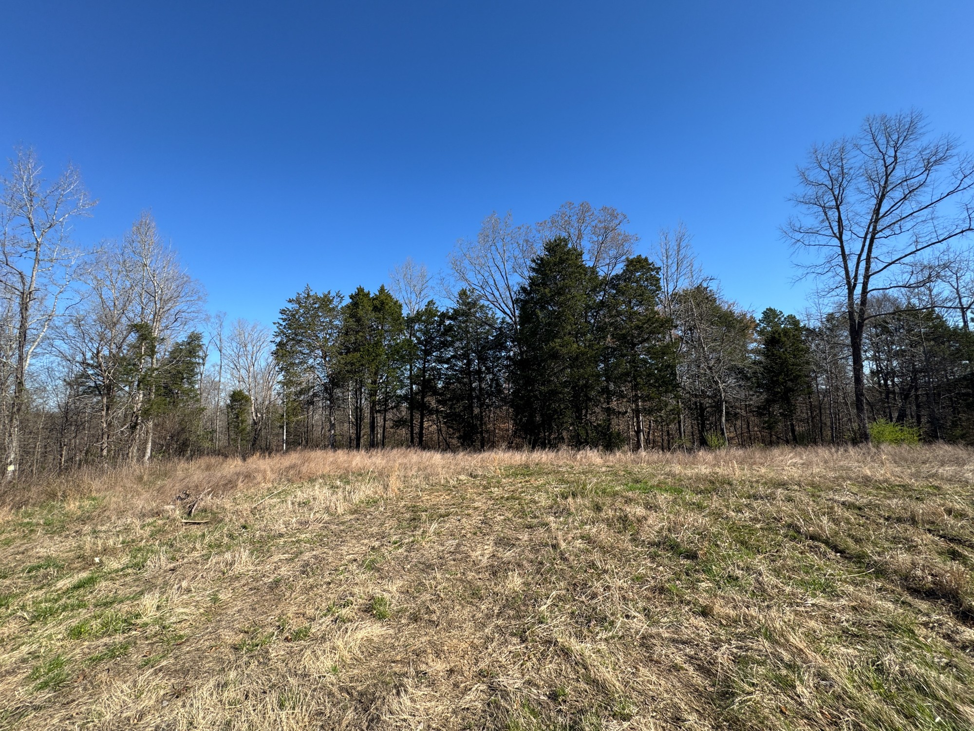 0 Chester Quinn Lane Parsons TN 38363