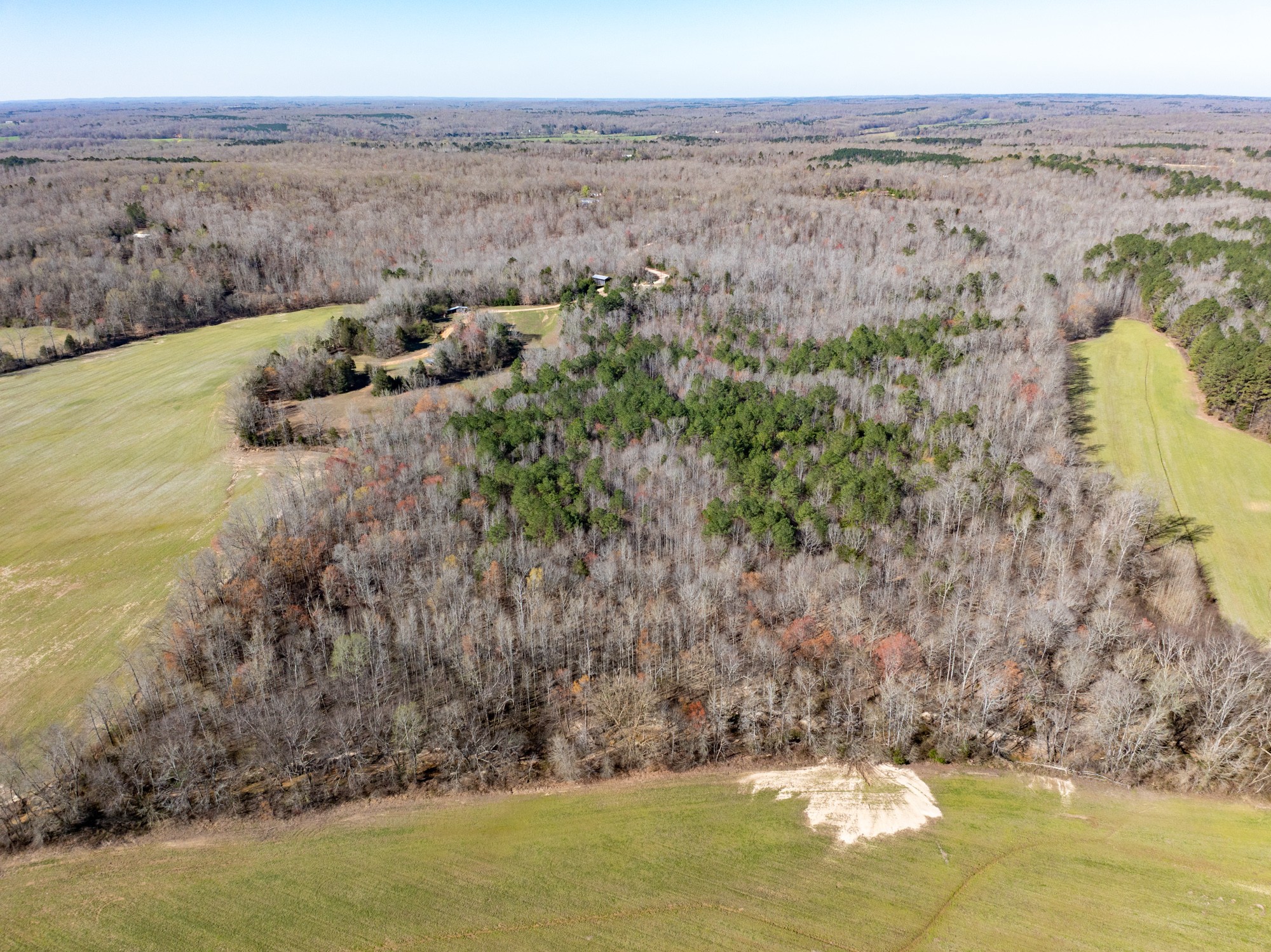 0 Chester Quinn Lane Parsons TN 38363