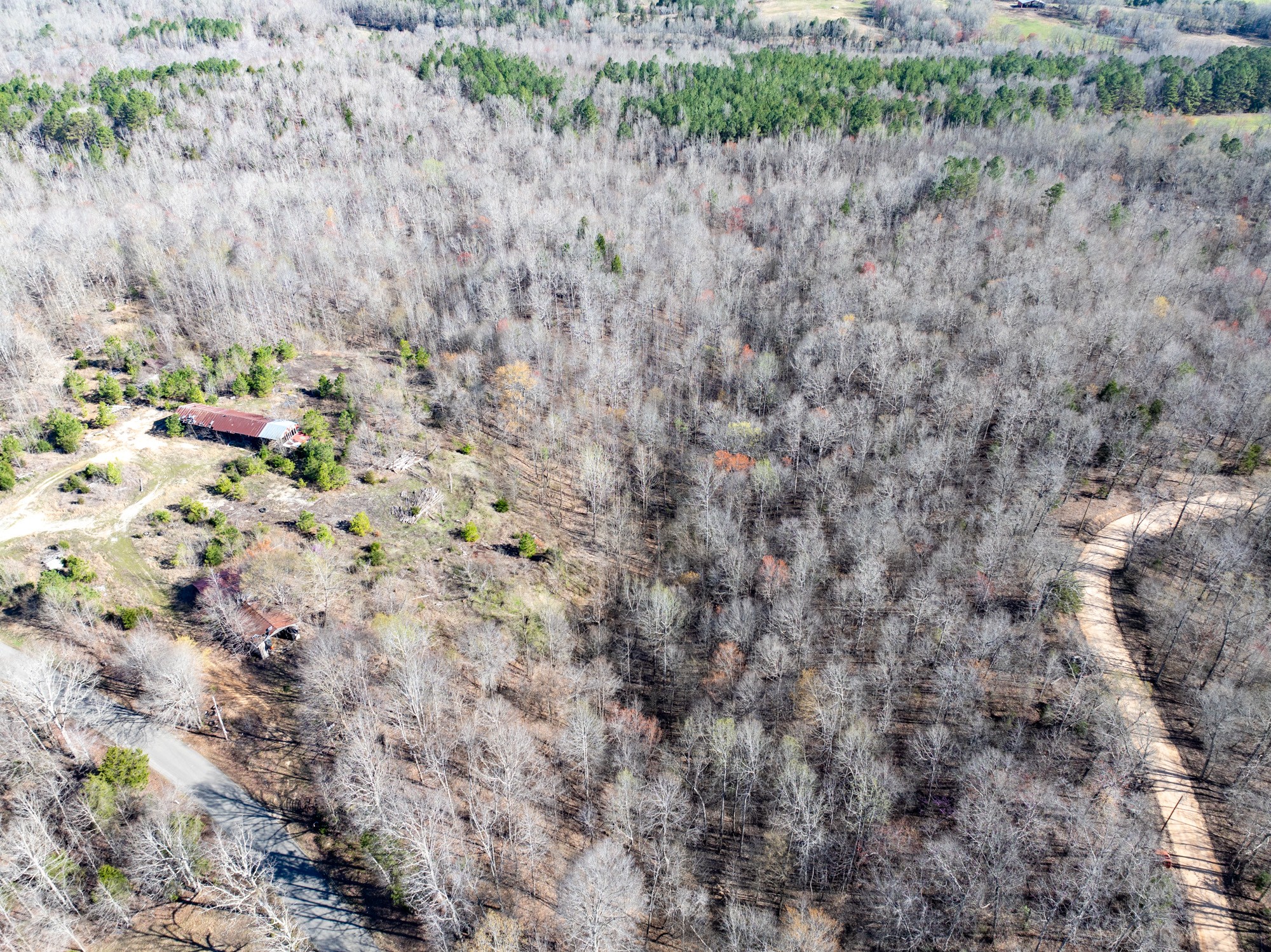 0 Chester Quinn Lane Parsons TN 38363