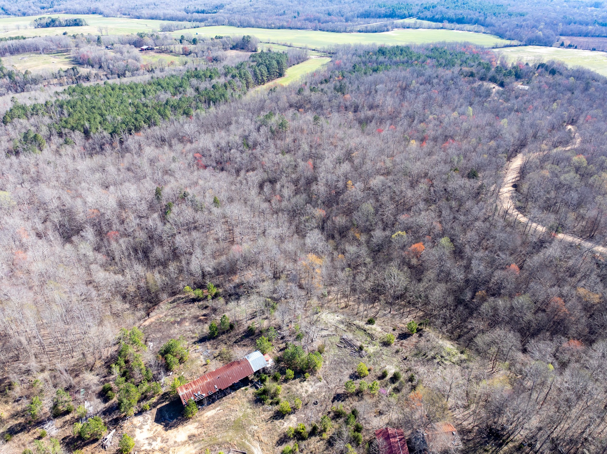 0 Chester Quinn Lane Parsons TN 38363