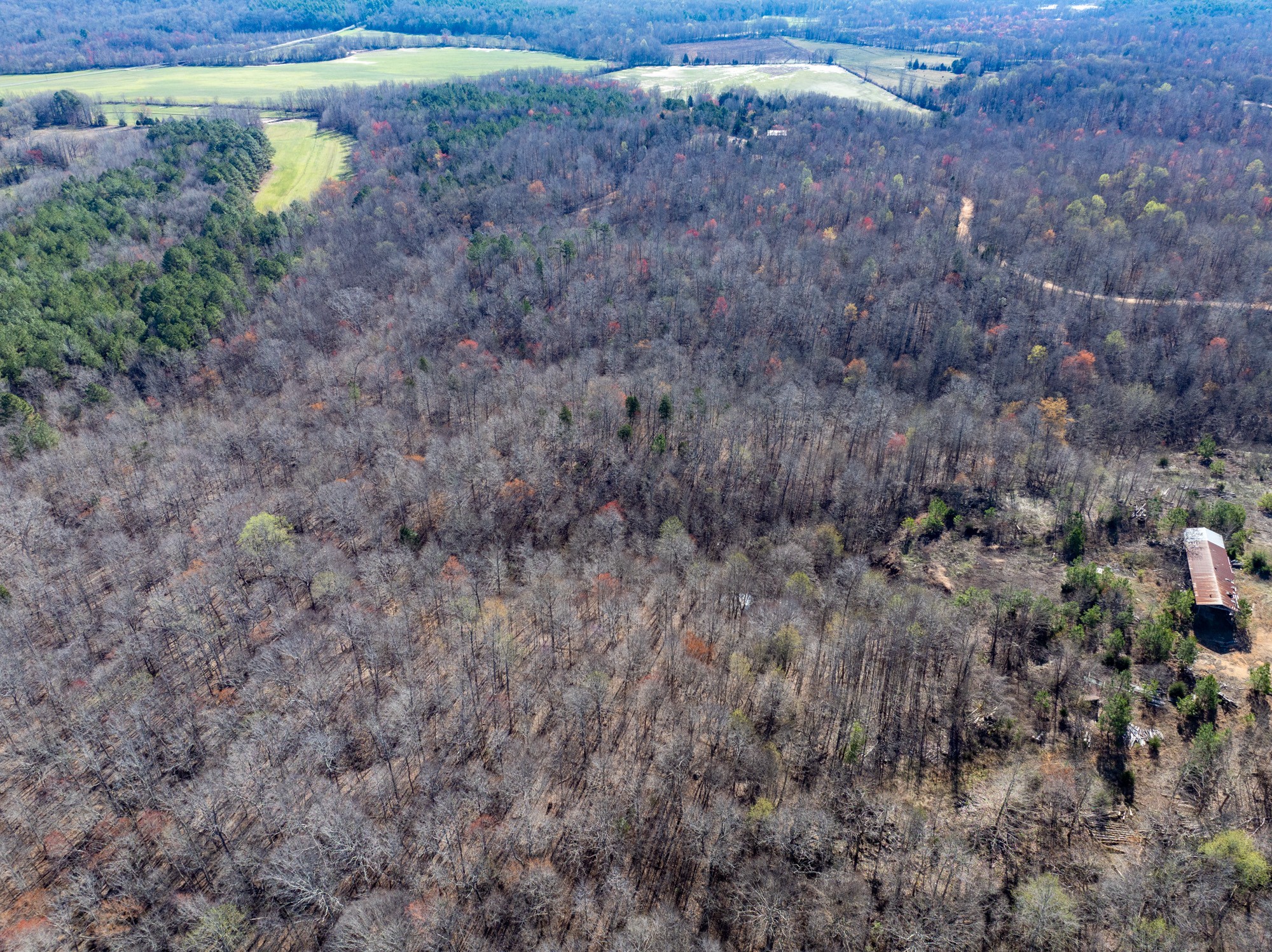0 Chester Quinn Lane Parsons TN 38363