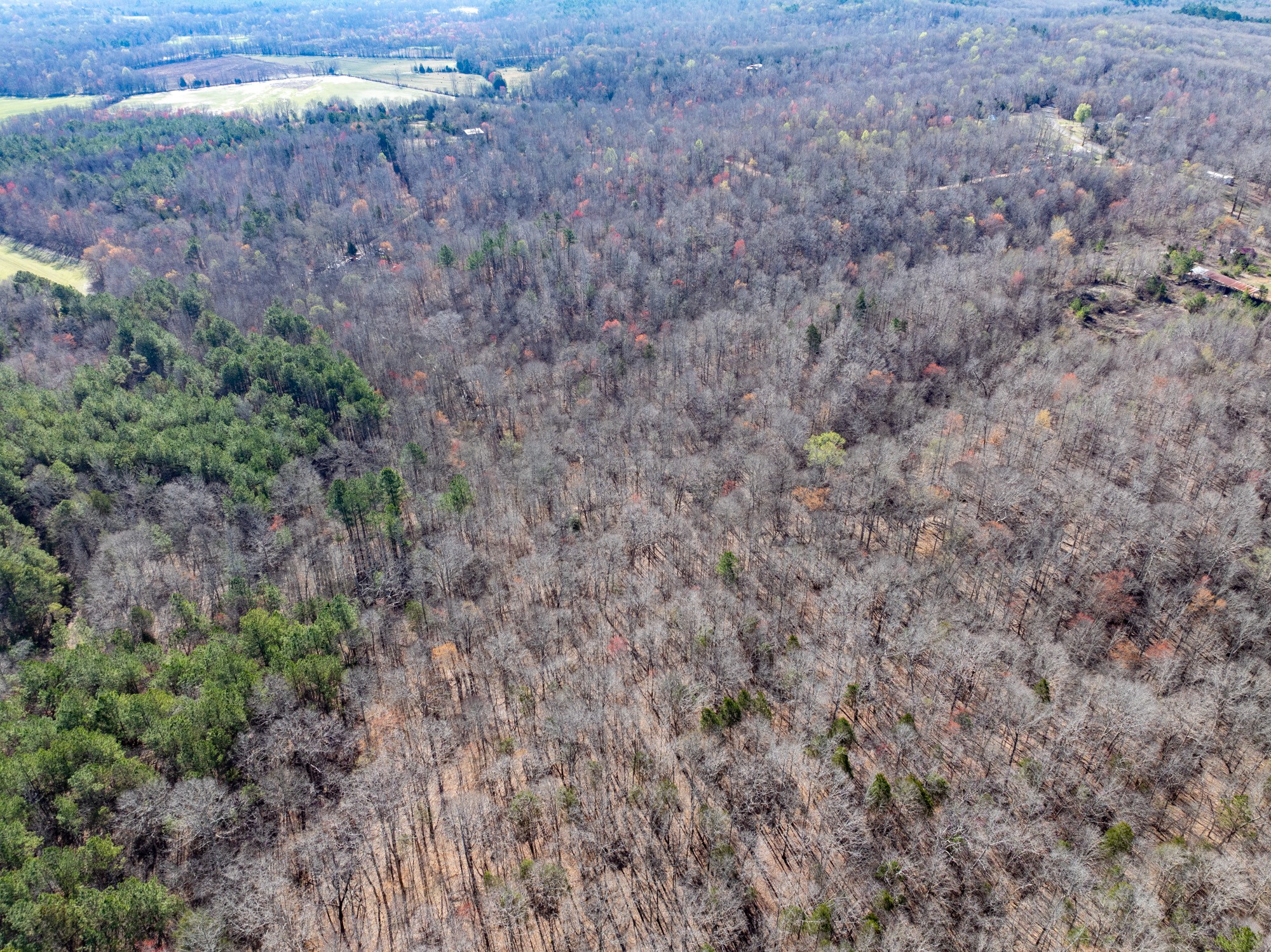 0 Chester Quinn Lane Parsons TN 38363