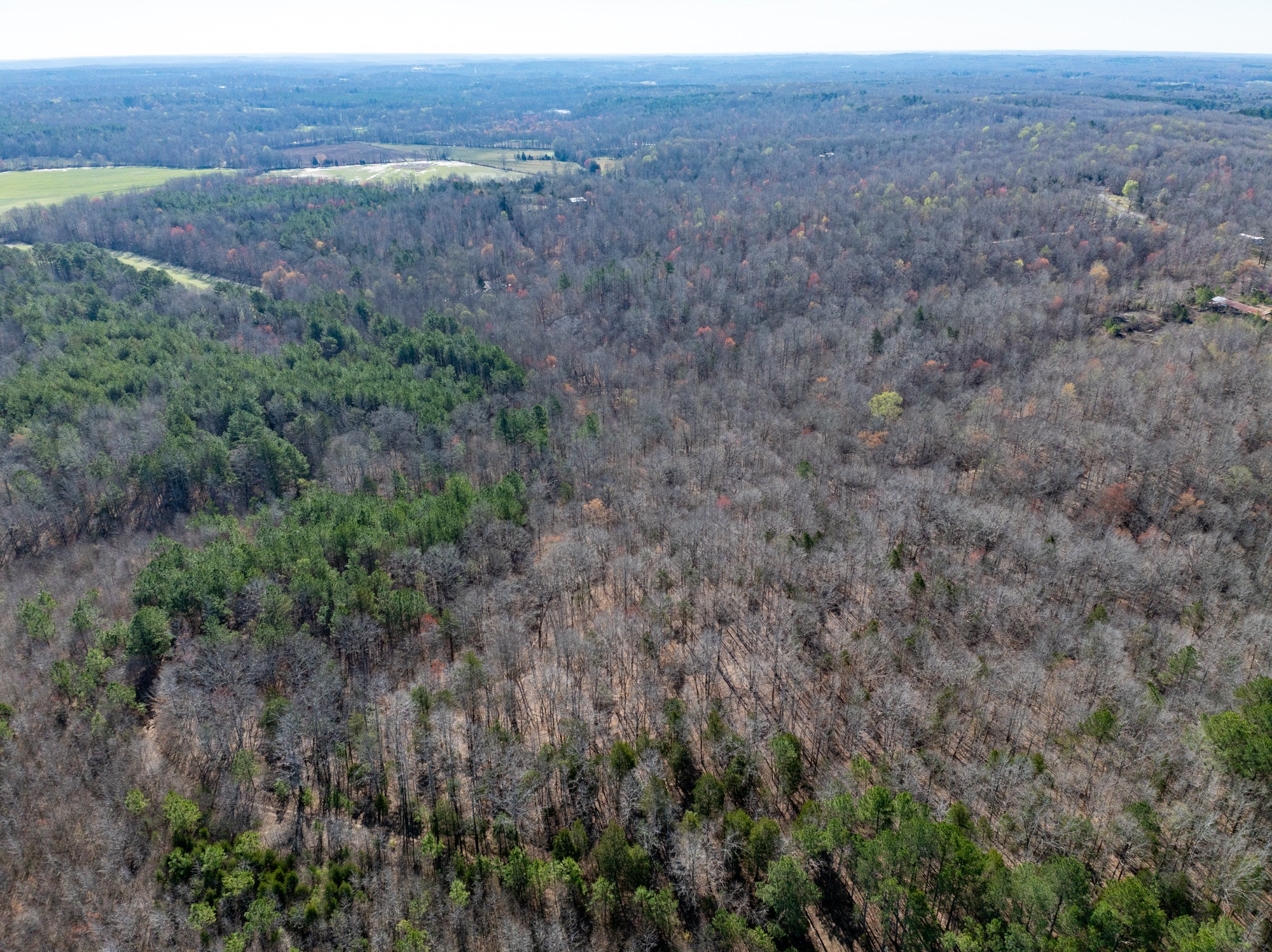 0 Chester Quinn Lane Parsons TN 38363