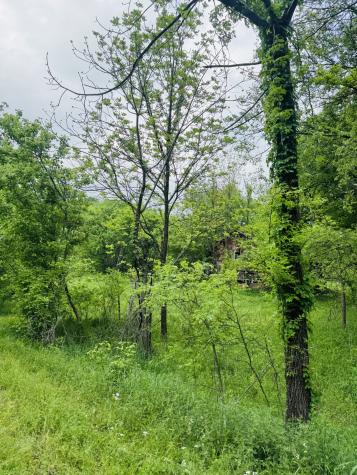 0 Crews Hollow Road Manchester TN 37355