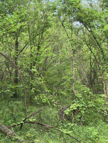 0 Crews Hollow Road Manchester TN 37355