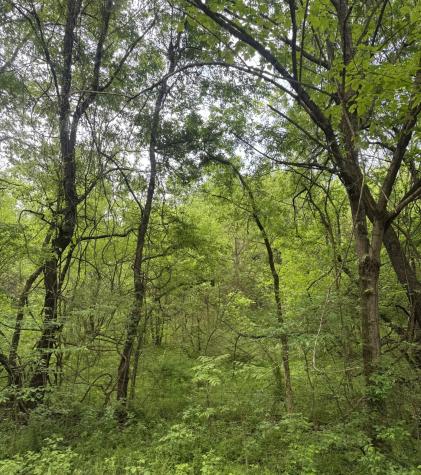 0 Crews Hollow Road Manchester TN 37355