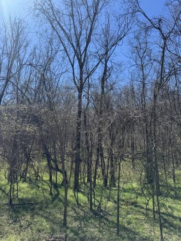 0 Crews Hollow Road Manchester TN 37355