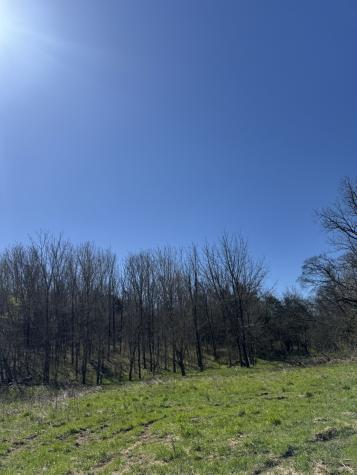 0 Crews Hollow Road Manchester TN 37355