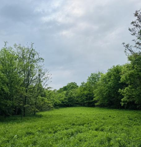 0 Crews Hollow Road Manchester TN 37355