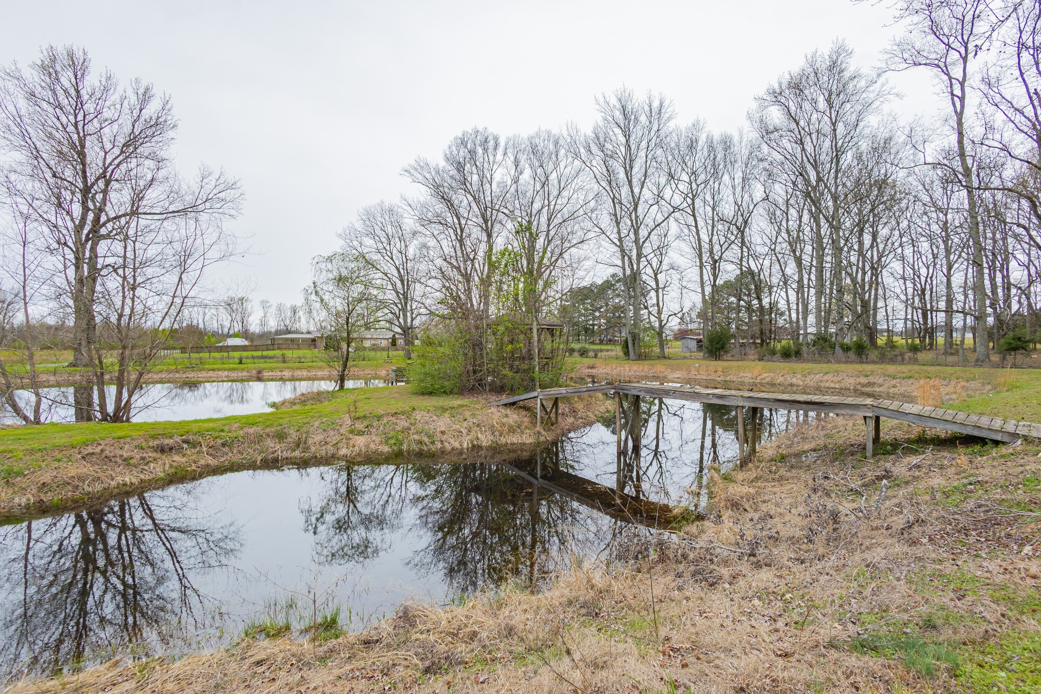 173 Bellview Road Taft TN 38488