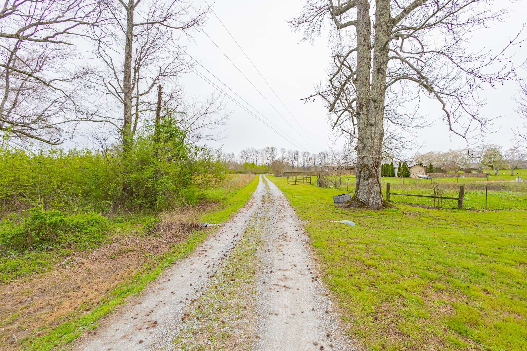 173 Bellview Road Taft TN 38488