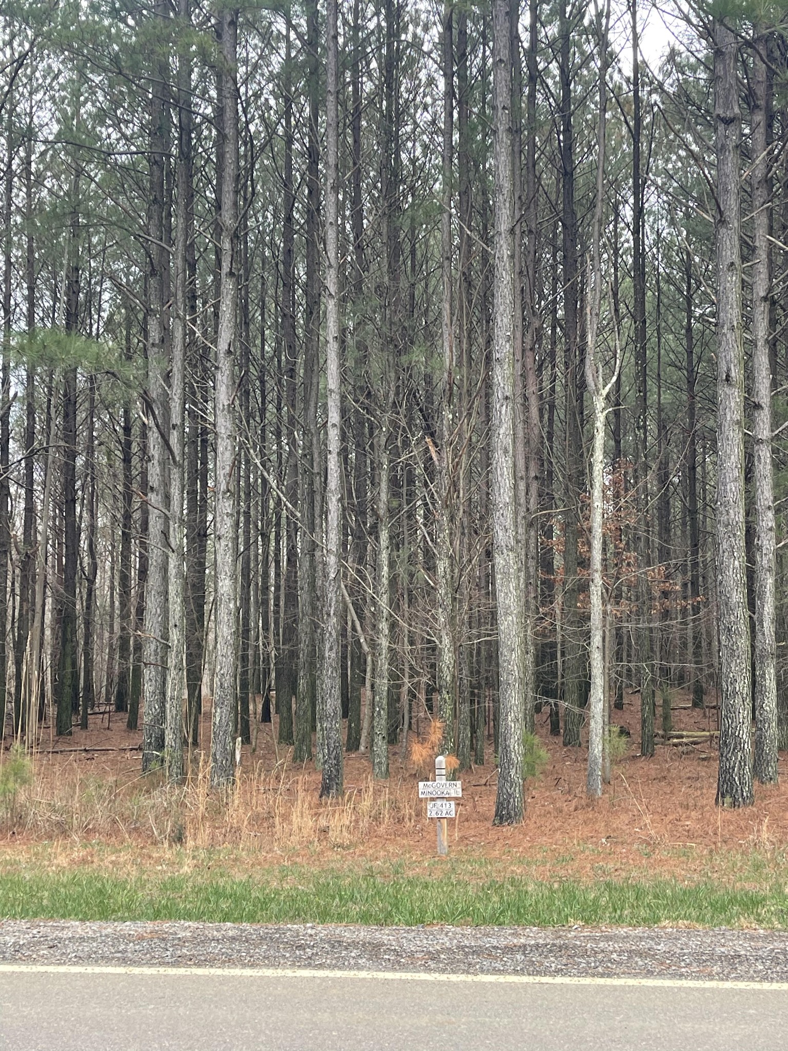 0 Crockett Pointe Jasper TN 37347
