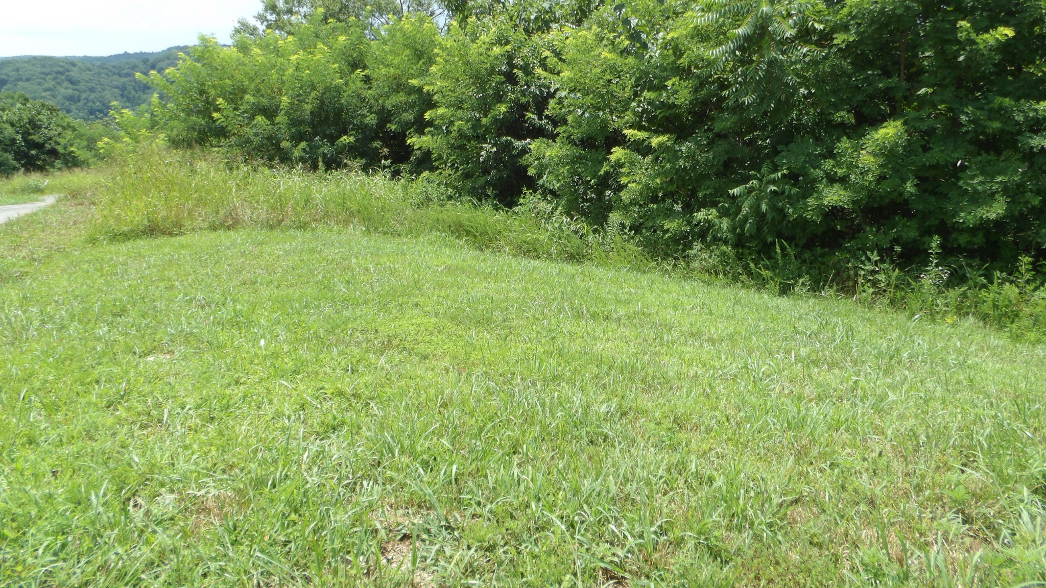 17 D Crappie Lane Hilham TN 38568