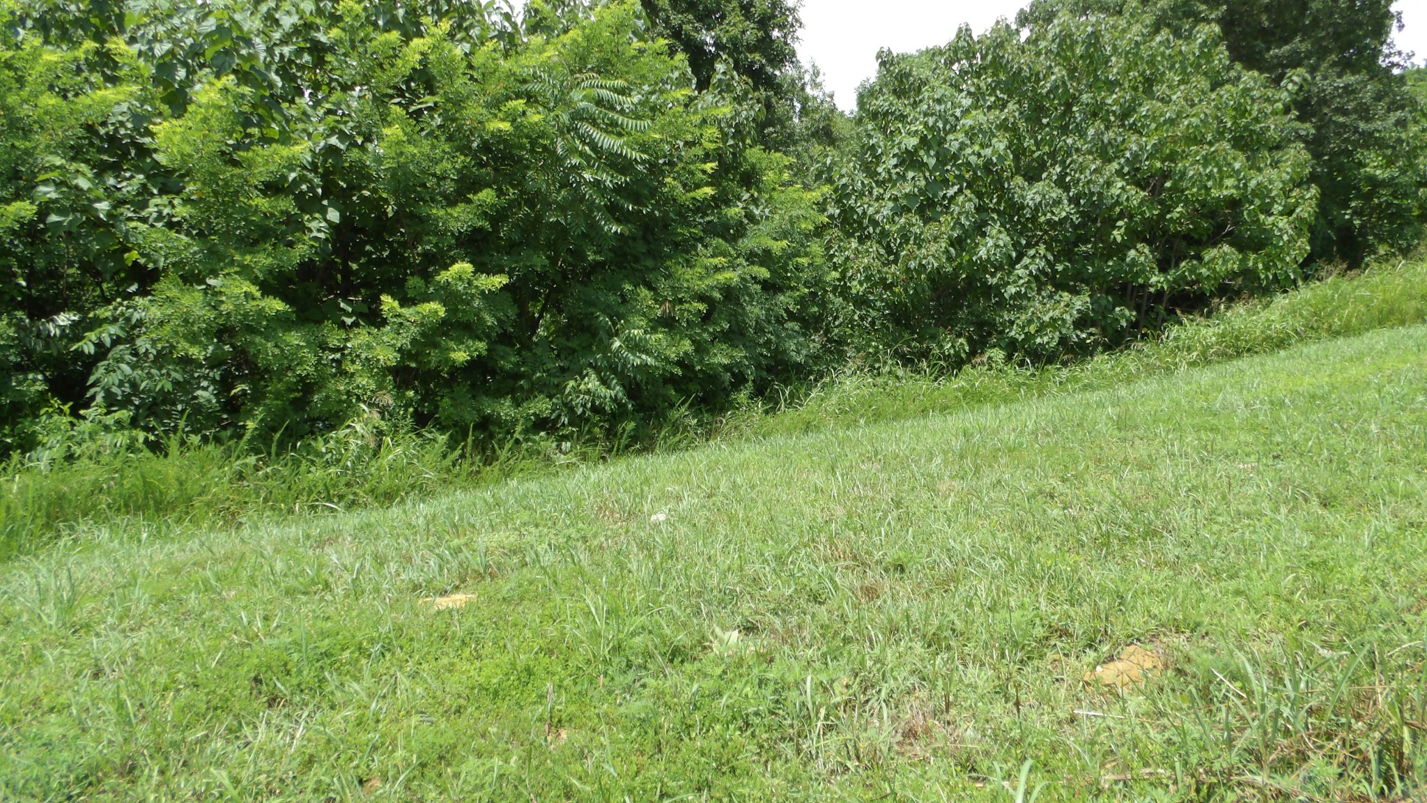 17 D Crappie Lane Hilham TN 38568