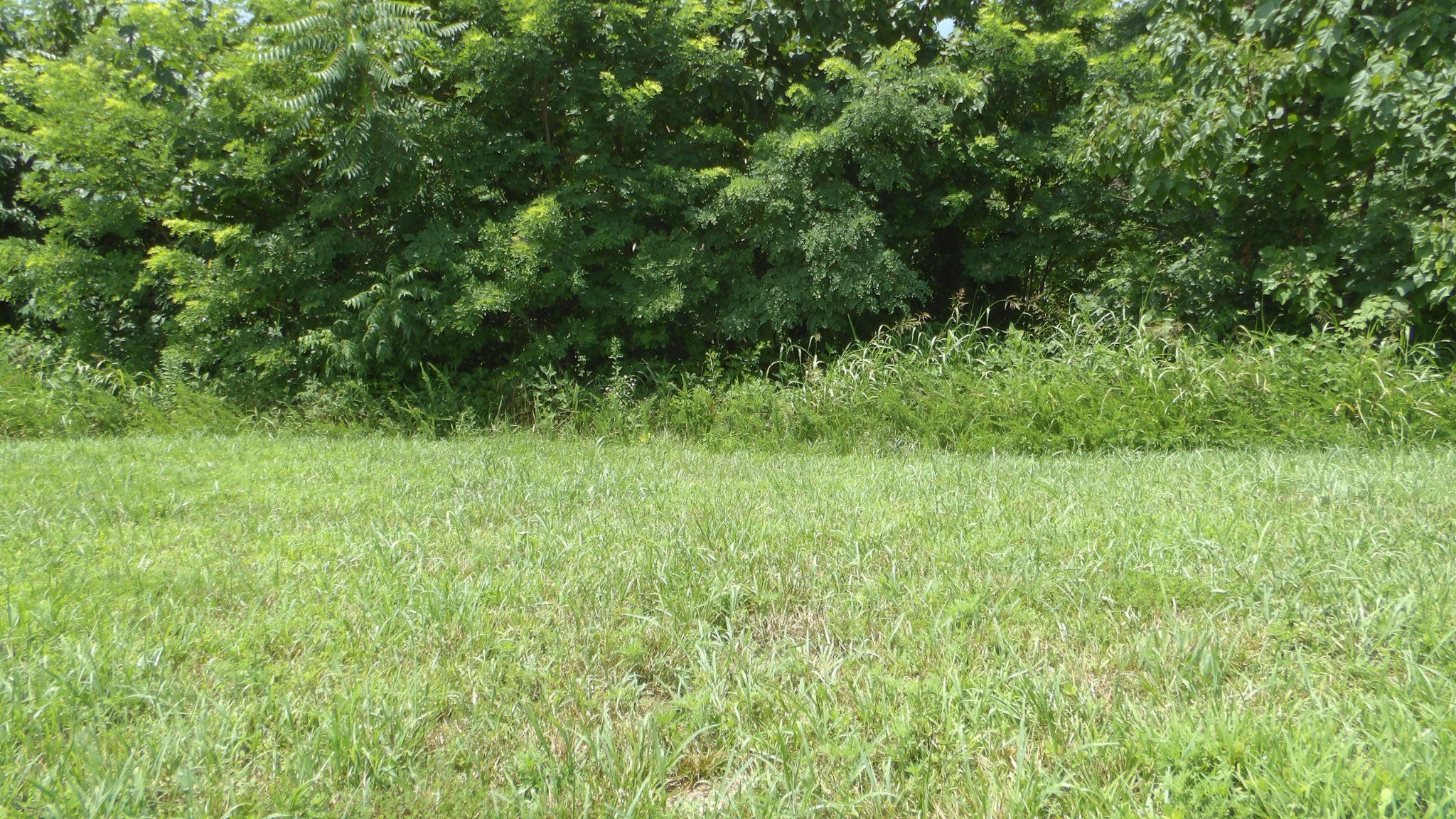 17 D Crappie Lane Hilham TN 38568