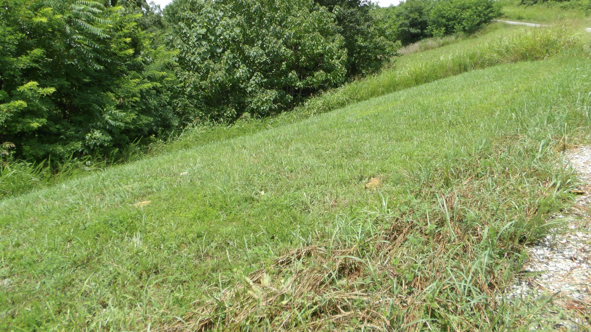 17 D Crappie Lane Hilham TN 38568