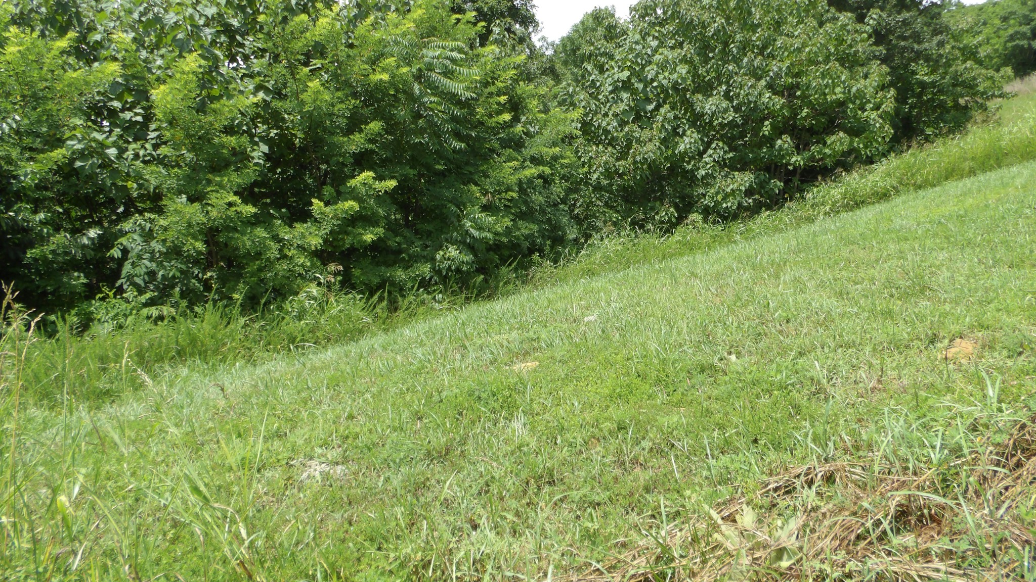17 D Crappie Lane Hilham TN 38568