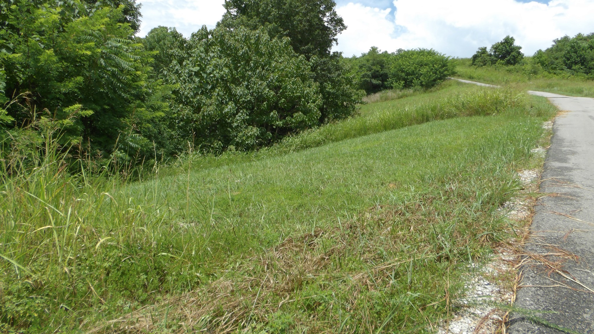 17 D Crappie Lane Hilham TN 38568