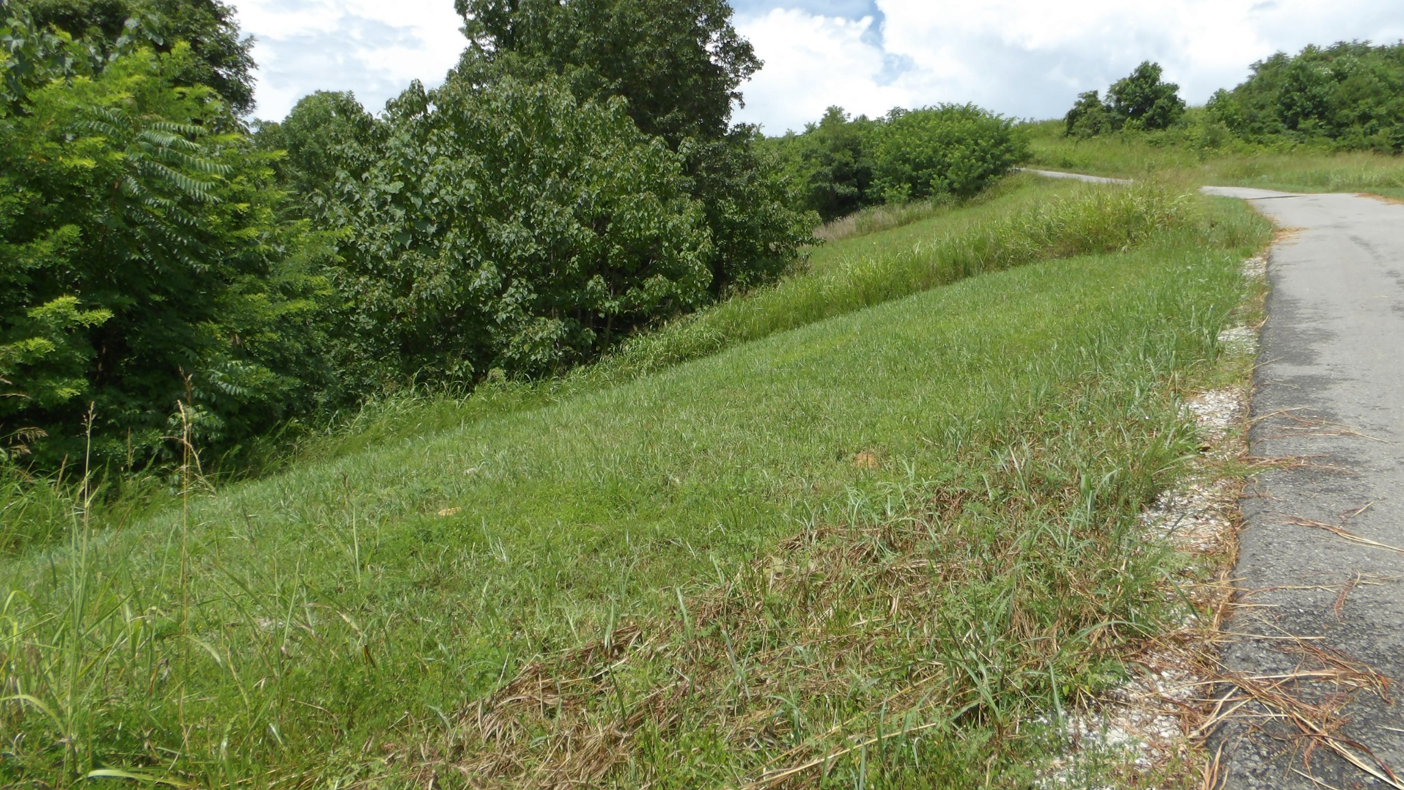 17 D Crappie Lane Hilham TN 38568