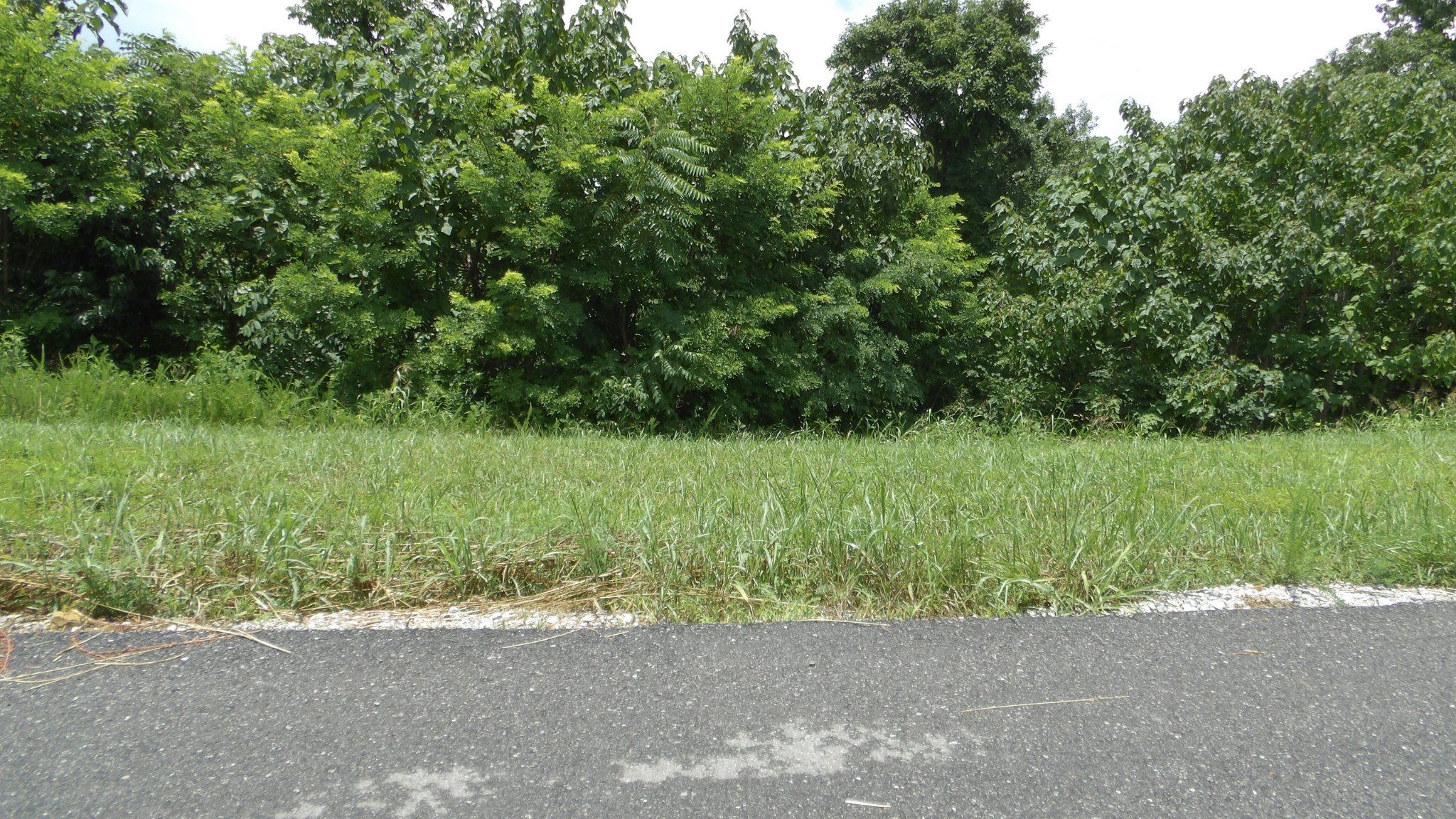 17 D Crappie Lane Hilham TN 38568